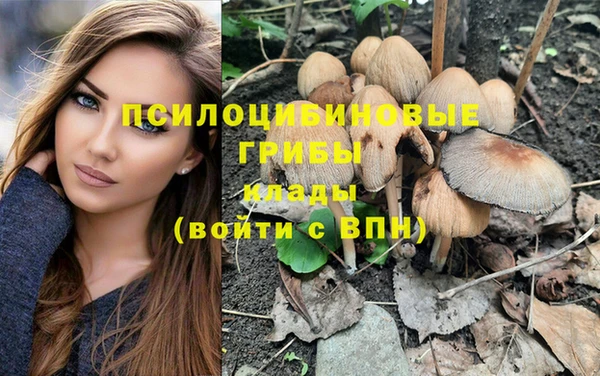 сатива Верхнеуральск