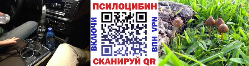 магазин продажи наркотиков  Сургут  Галлюциногенные грибы мицелий 